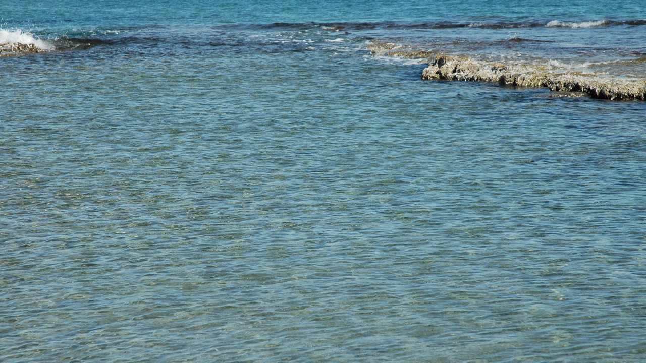 Photo of Others in Torre de la Horadada