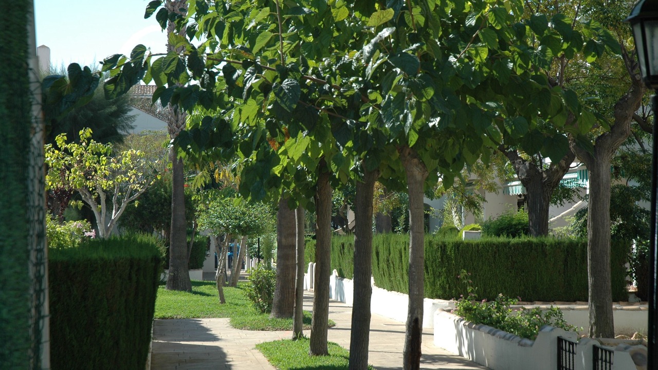 Photo of Outdoor in Torre de la Horadada
