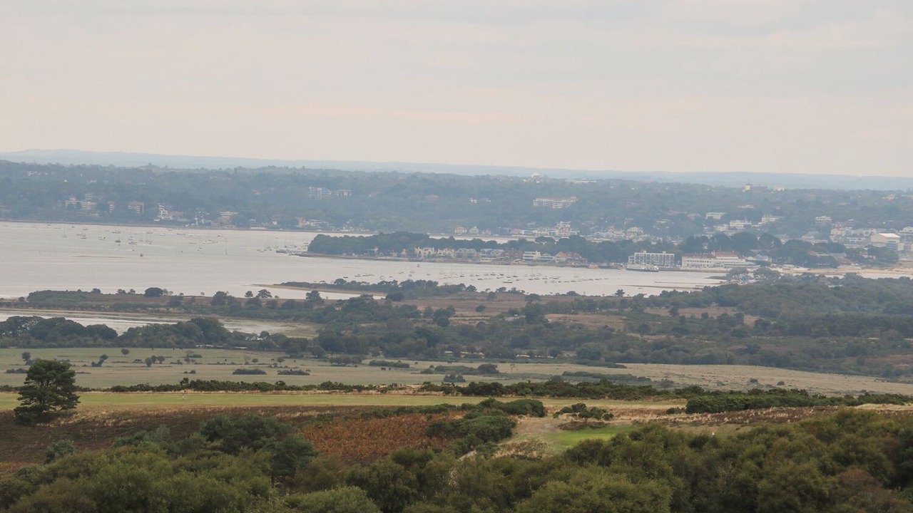 Photo of Others in Swanage