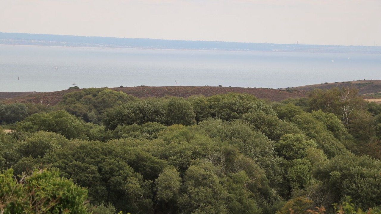 Photo of Others in Swanage