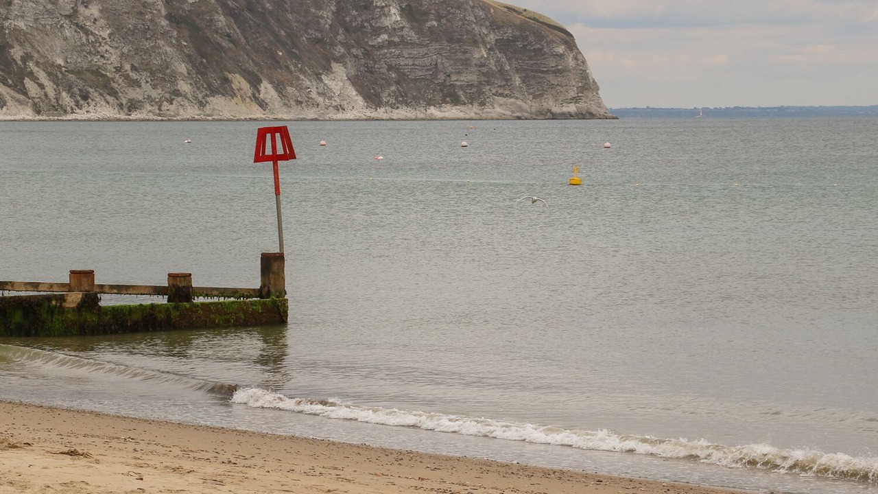 Photo of Others in Swanage