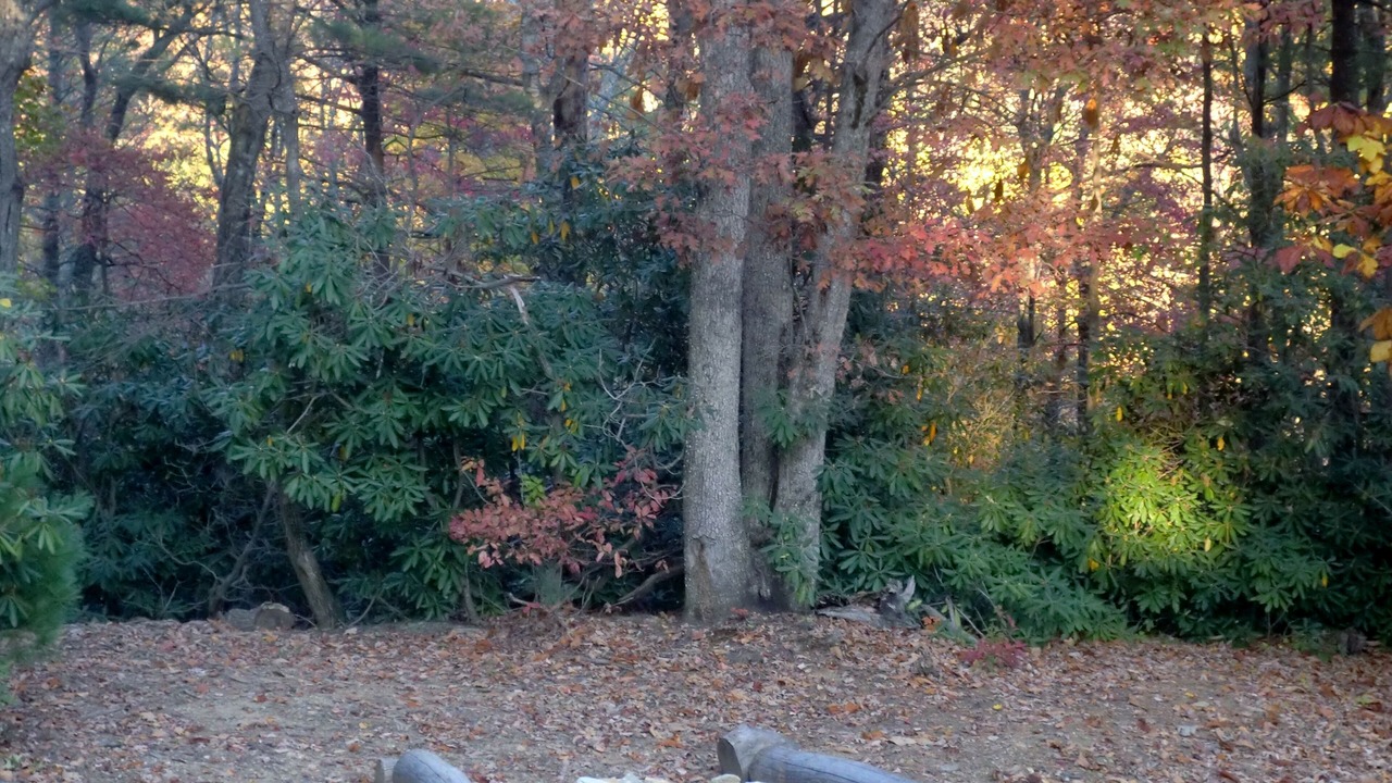 Photo of Others in Apple Ridge
