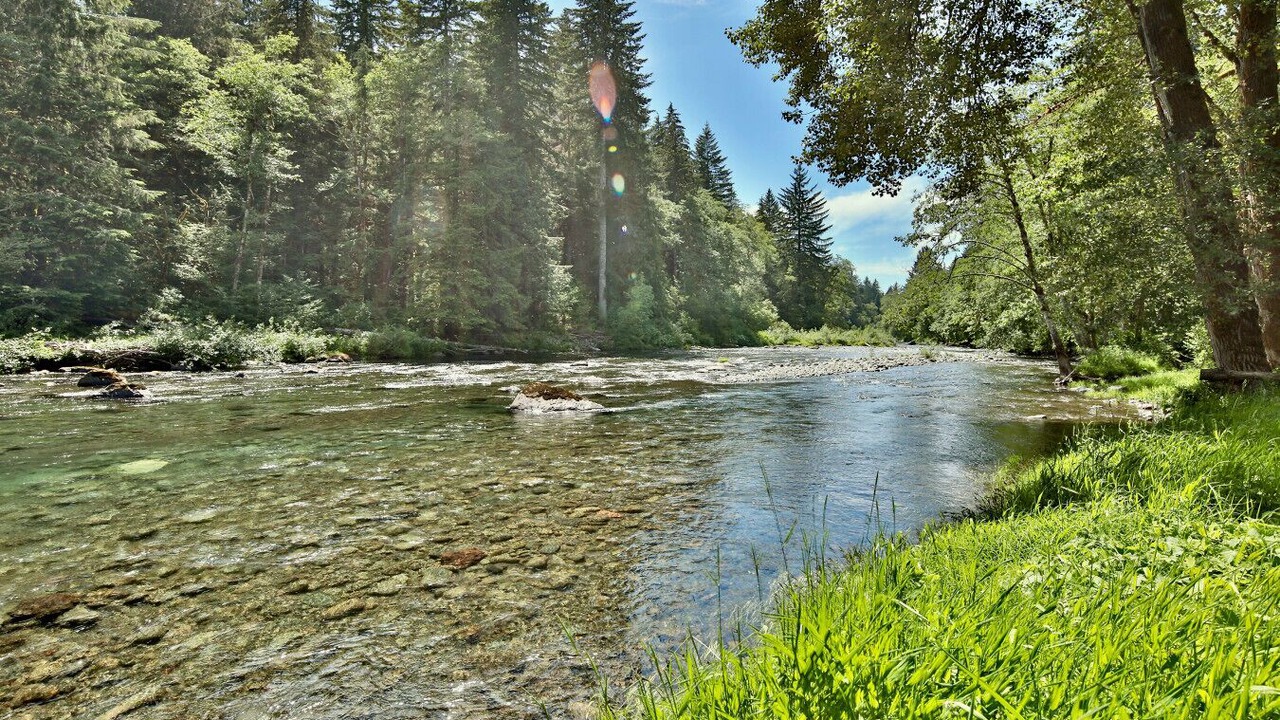 Photo of Others in Beaver