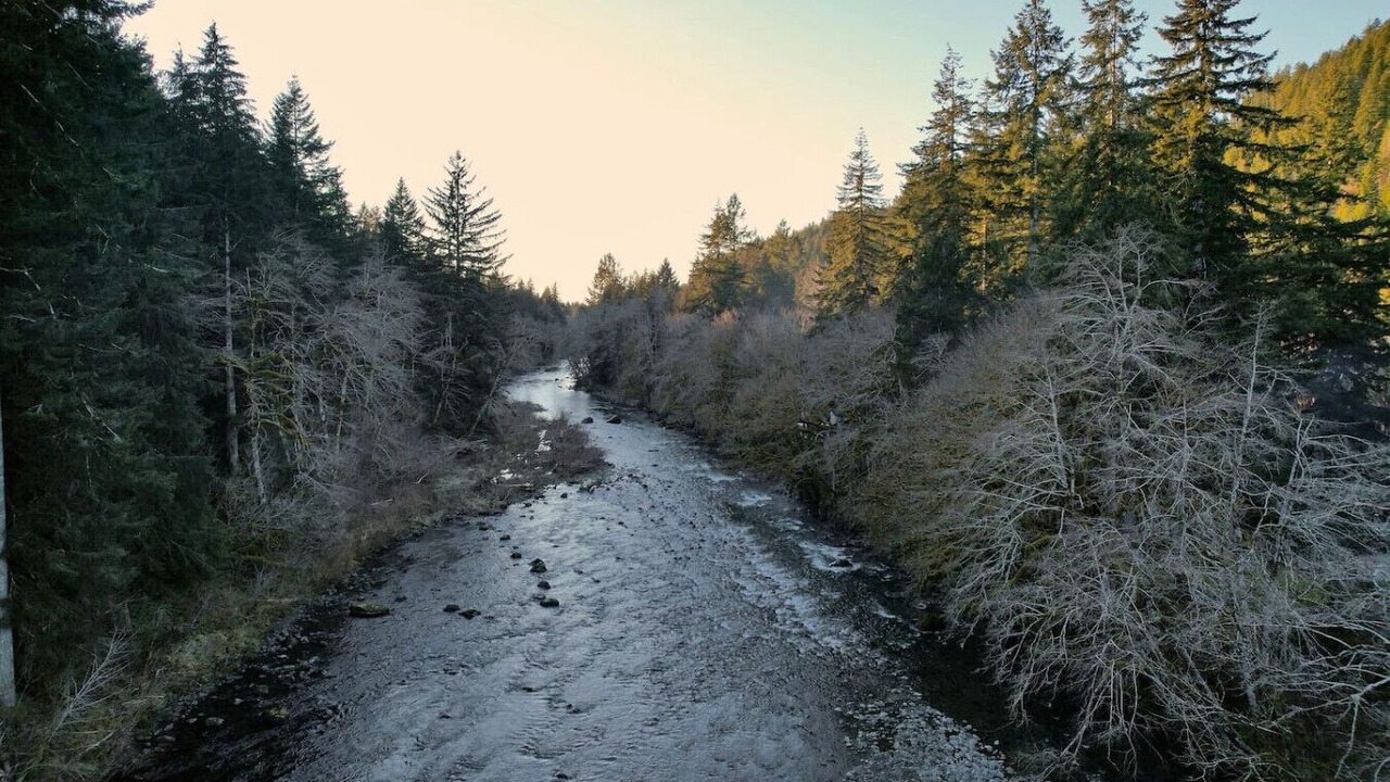 Photo of Others in Beaver