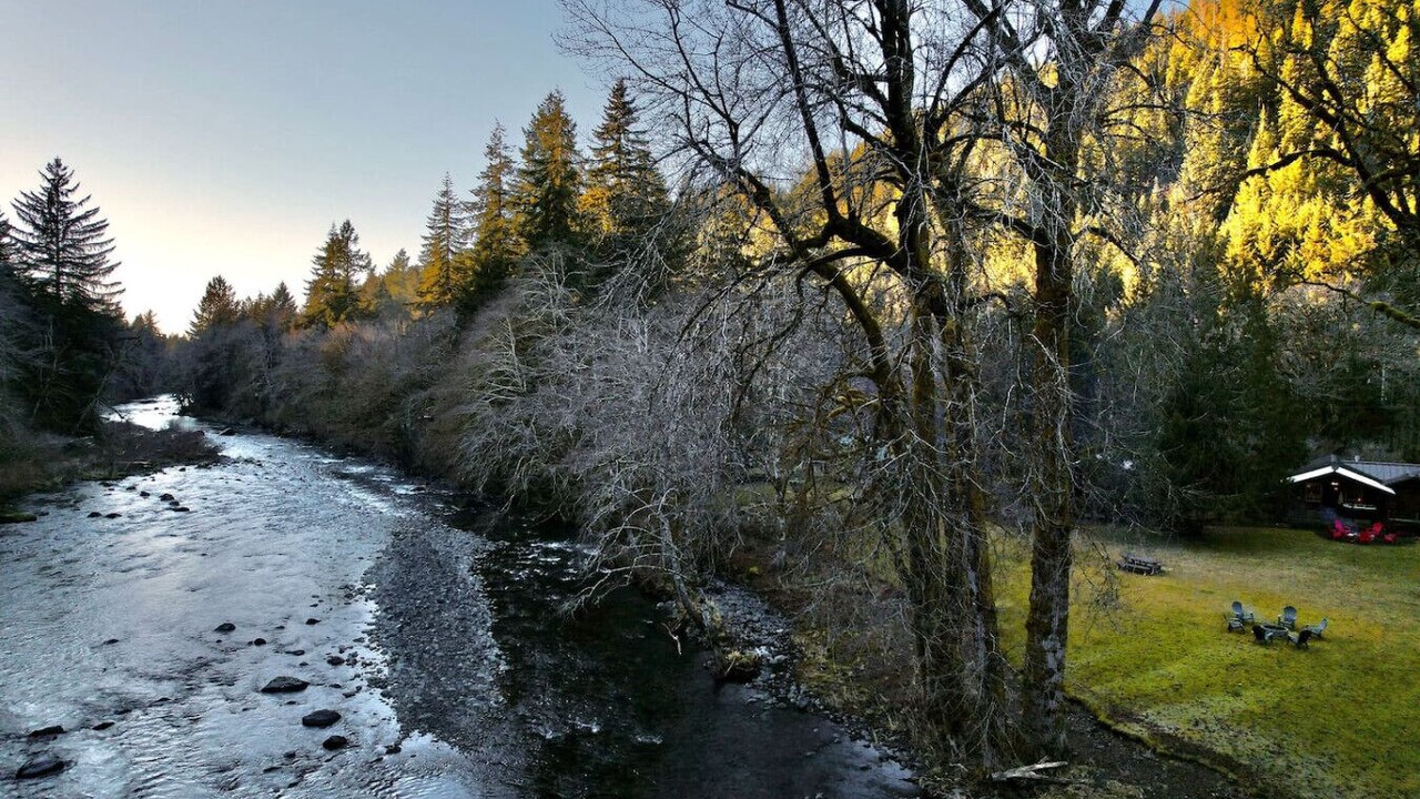 Photo of Others in Beaver