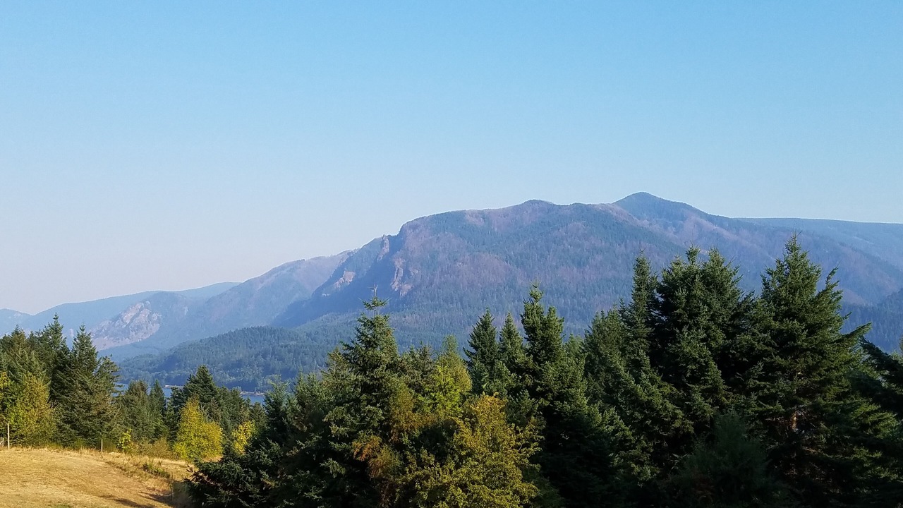 Photo of Others in Stevenson