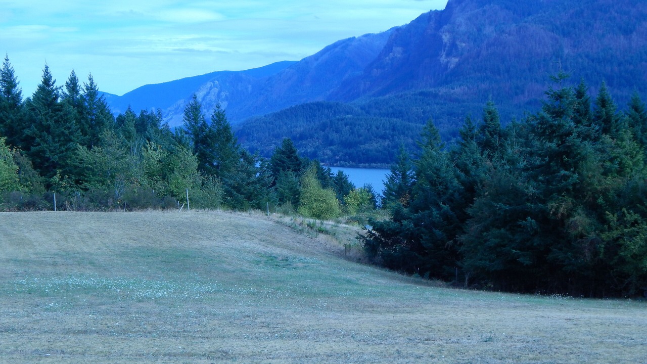 Photo of Others in Stevenson