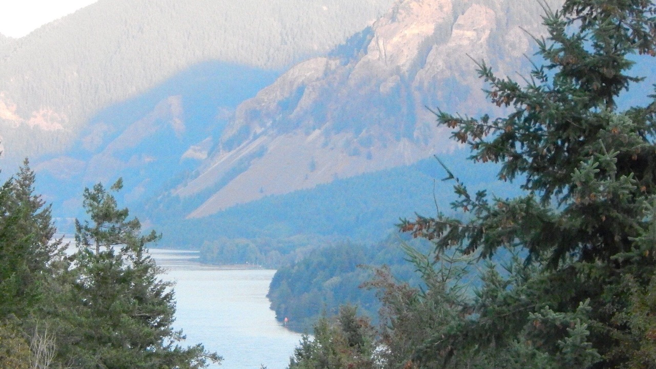 Photo of Others in Stevenson