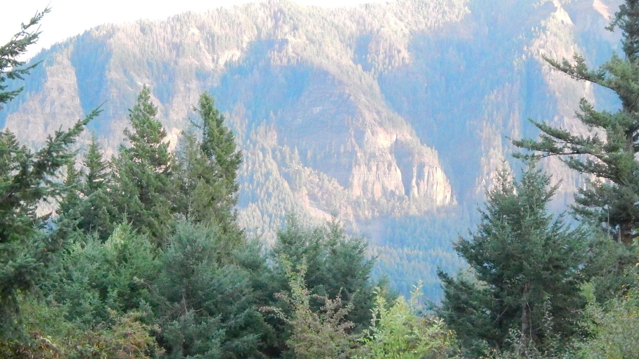 Photo of Others in Stevenson