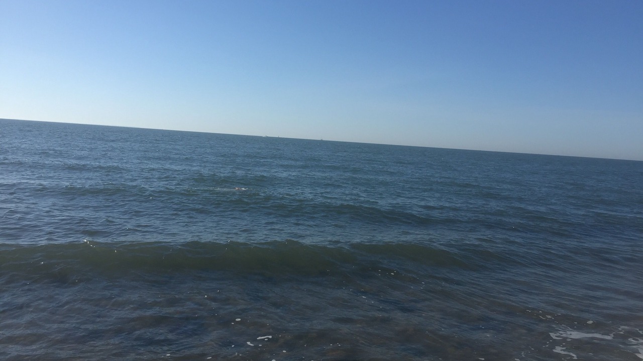 Photo of Others in Old Saybrook
