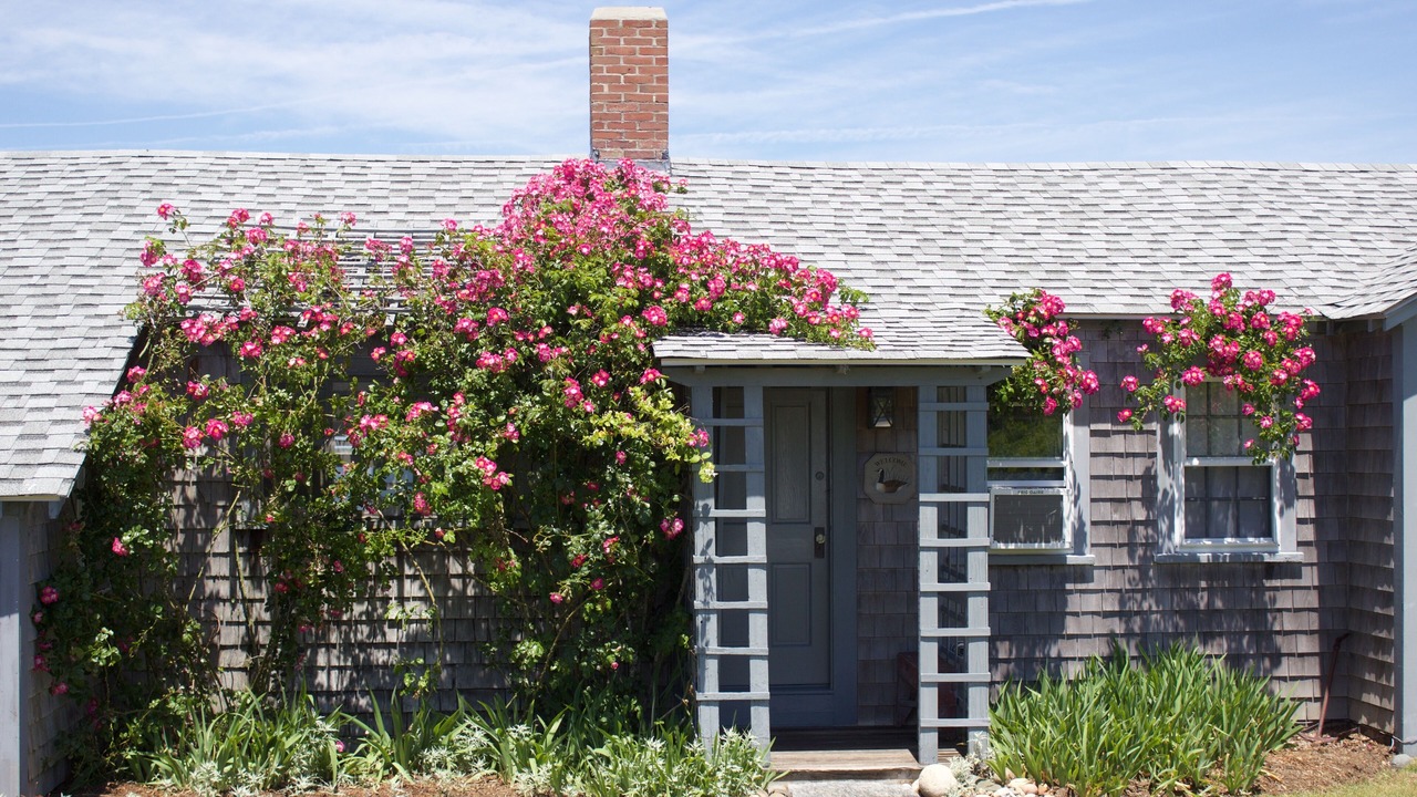 Photo of Others in Pocomo