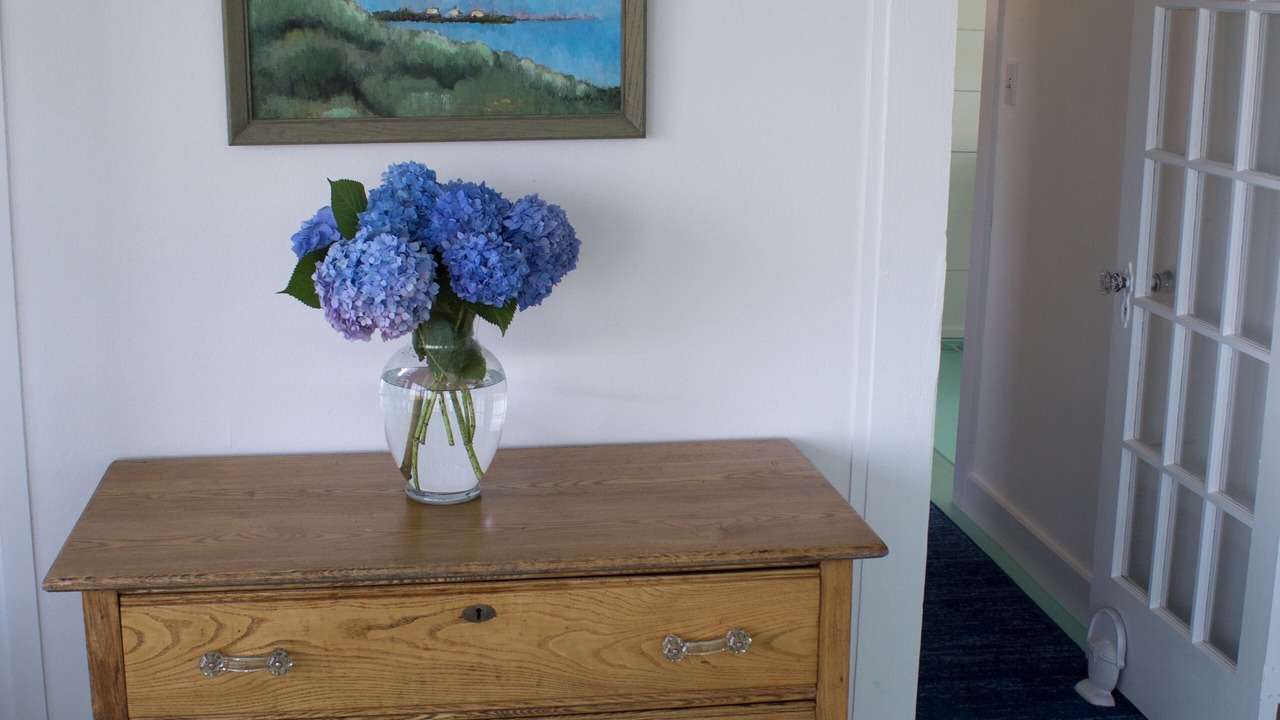 Photo of Others in Pocomo