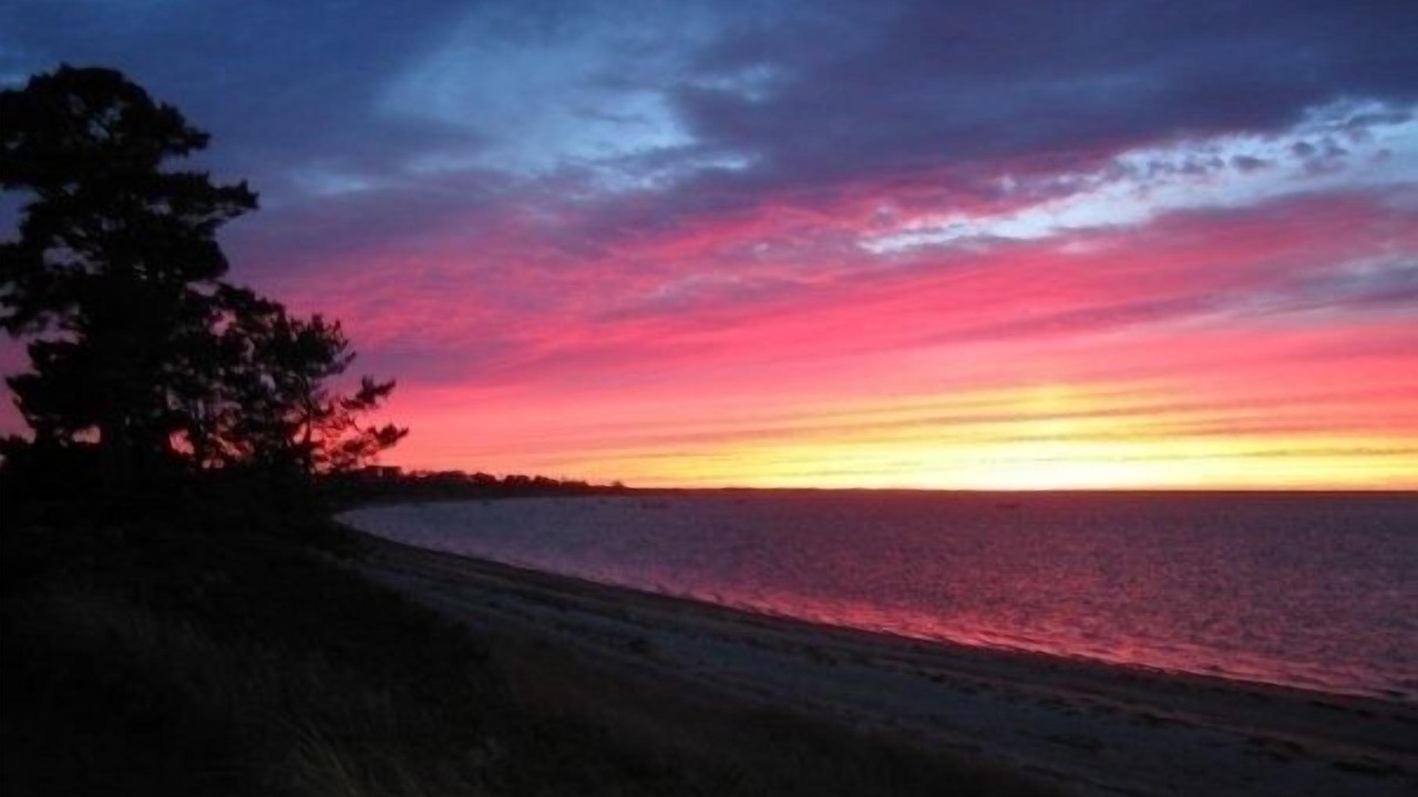 Photo of Others in Pocomo