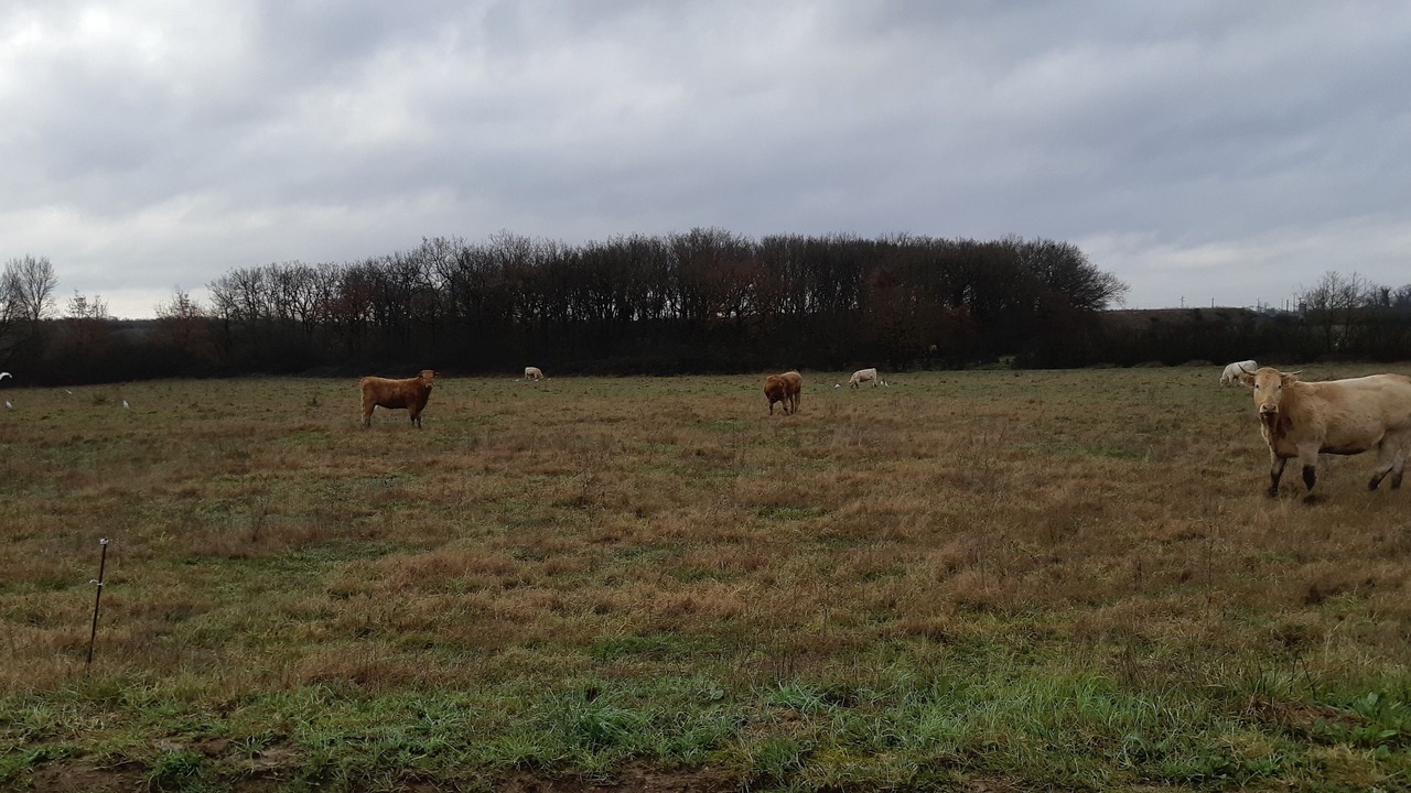 Photo of Outdoor in Leguevin