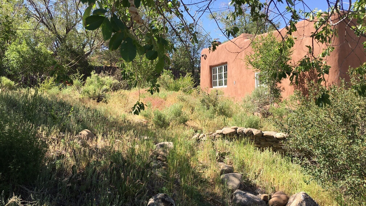 Photo of Others in Taos