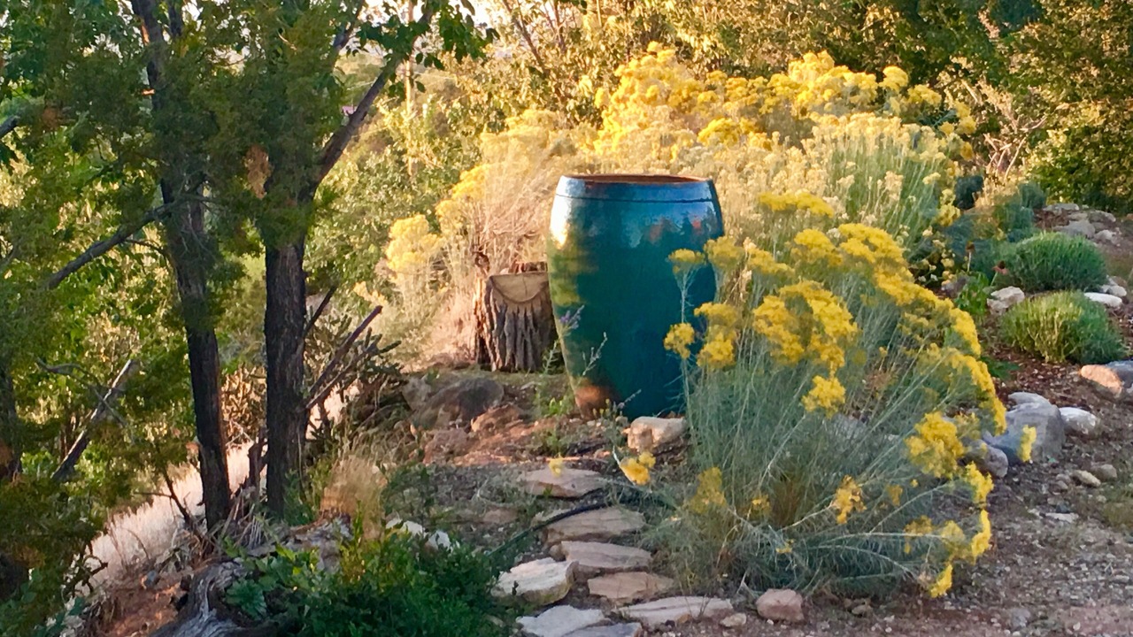 Photo of Others in Taos