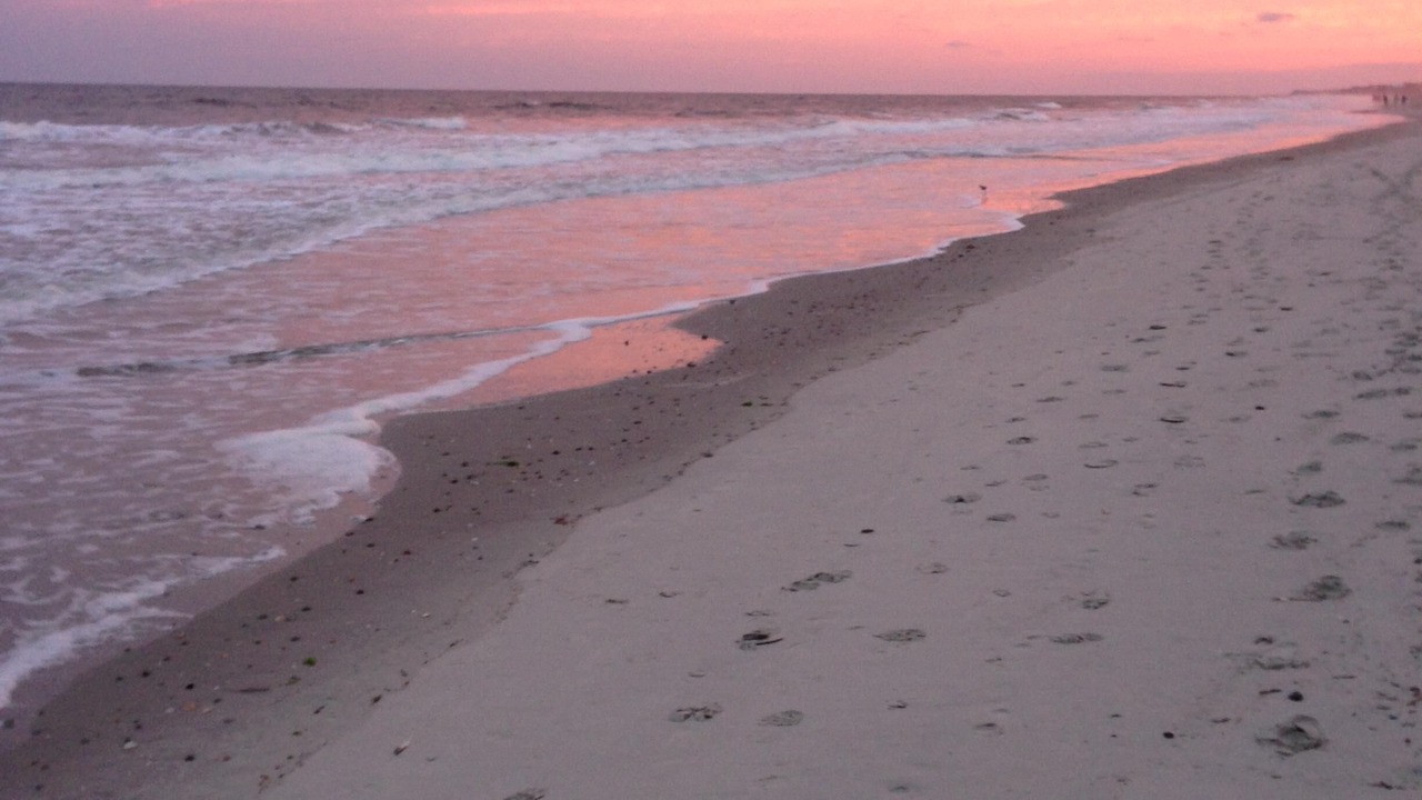 Photo of Others in Long Beach