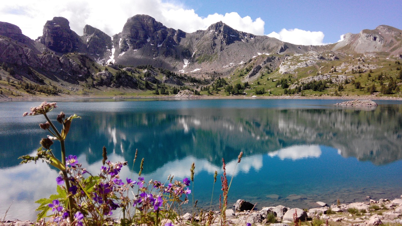 Photo of Others in Allos