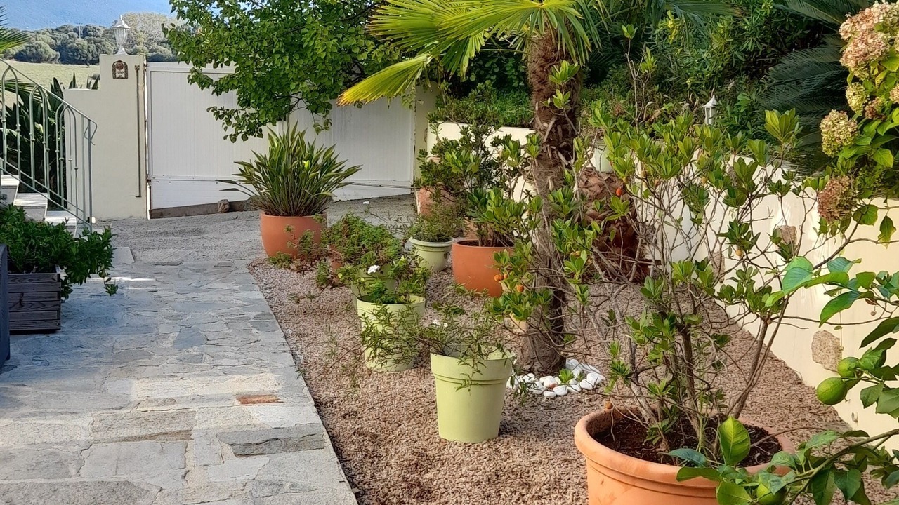 Photo of Outdoor in Propriano