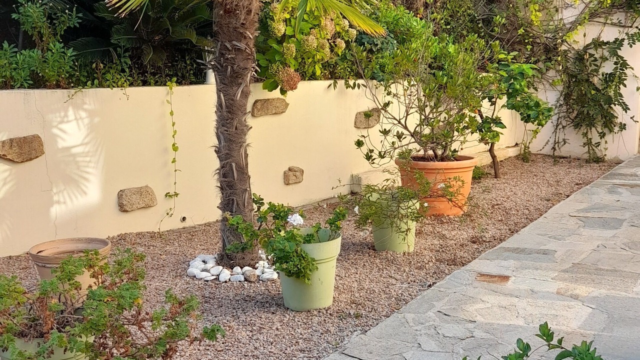 Photo of Outdoor in Propriano