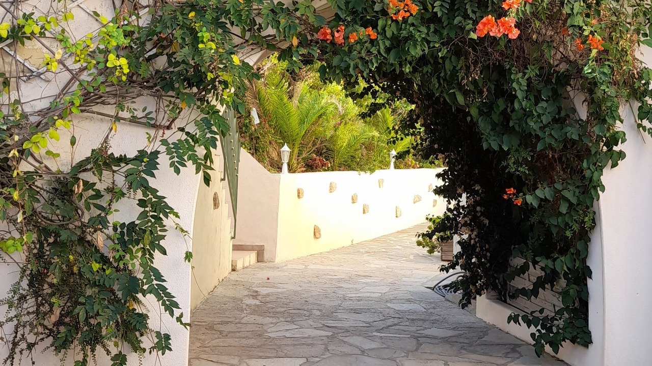 Photo of Outdoor in Propriano