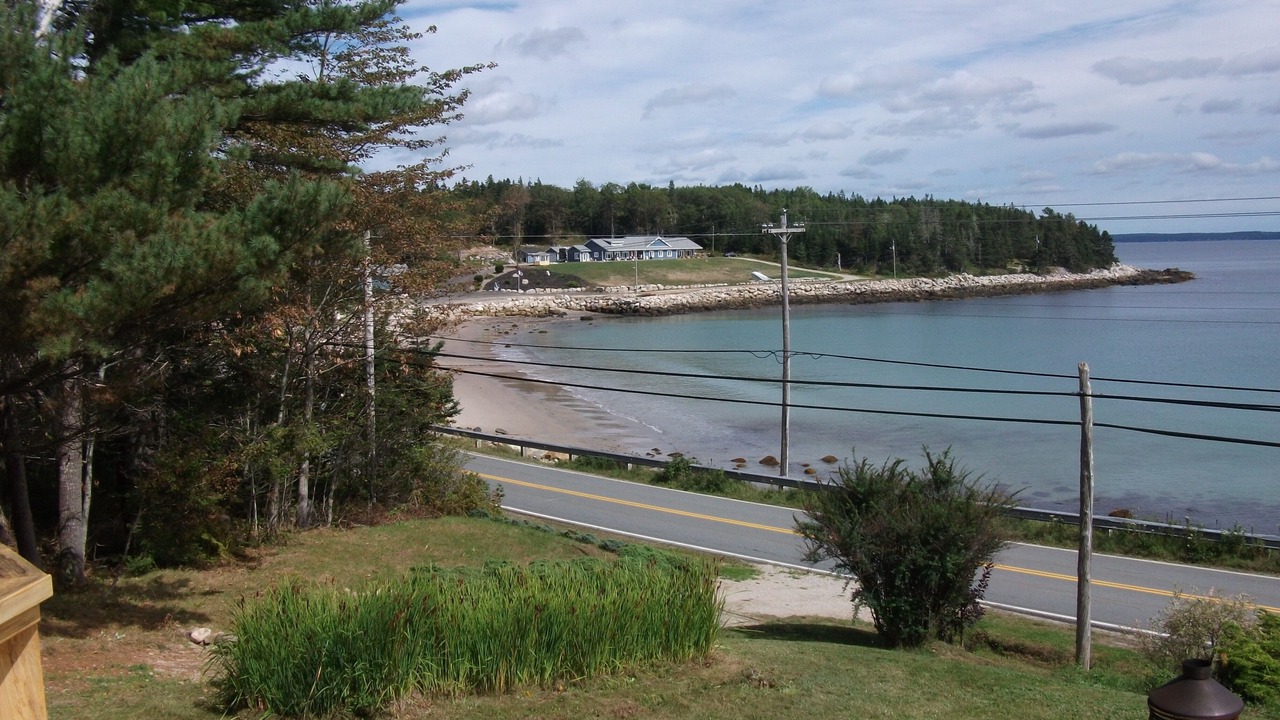 Photo of Others in Mill Cove