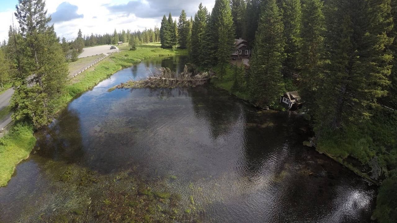Photo of Others in Island Park