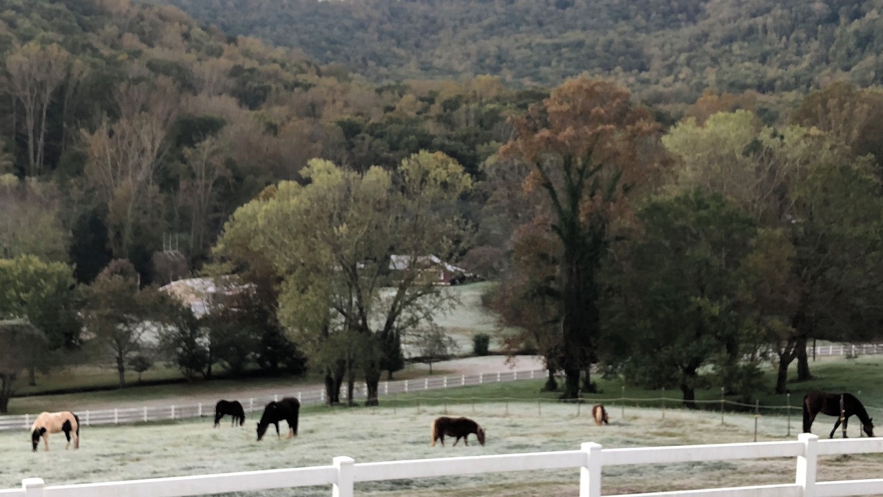 Photo of Others in Candler