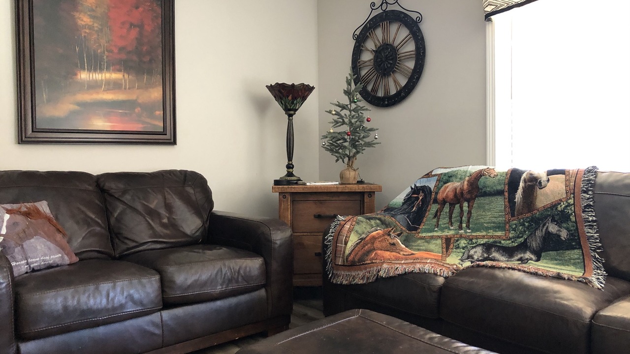 Photo of Livingroom in Candler