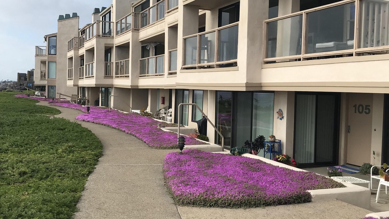 Photo of Outdoor in Solana Beach