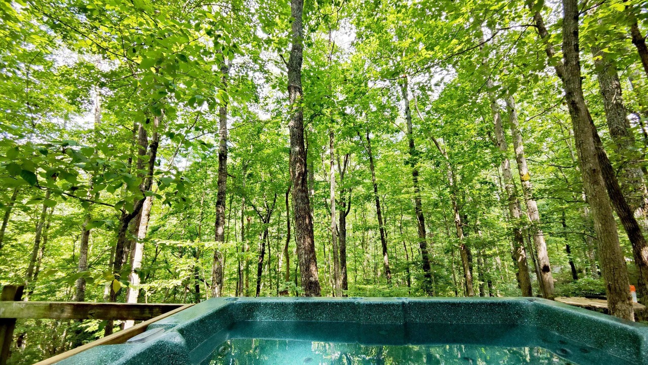 Photo of Others in Monteagle