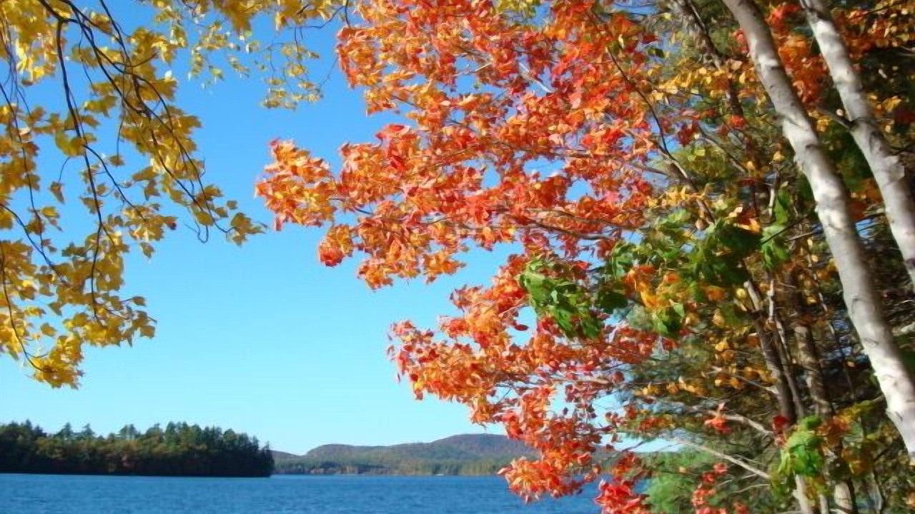 Photo of Others in Raymond