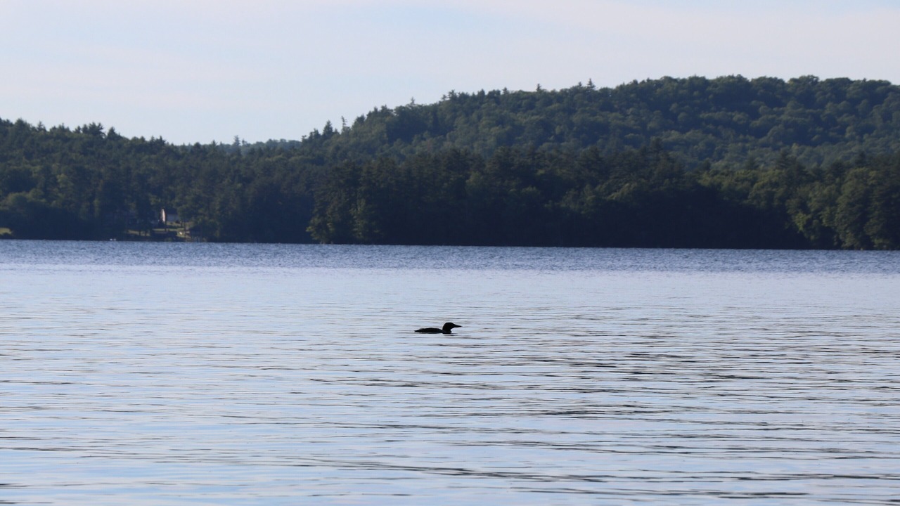 Photo of Others in Raymond