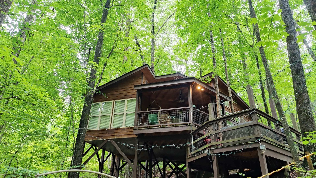 Photo of Others in Monteagle