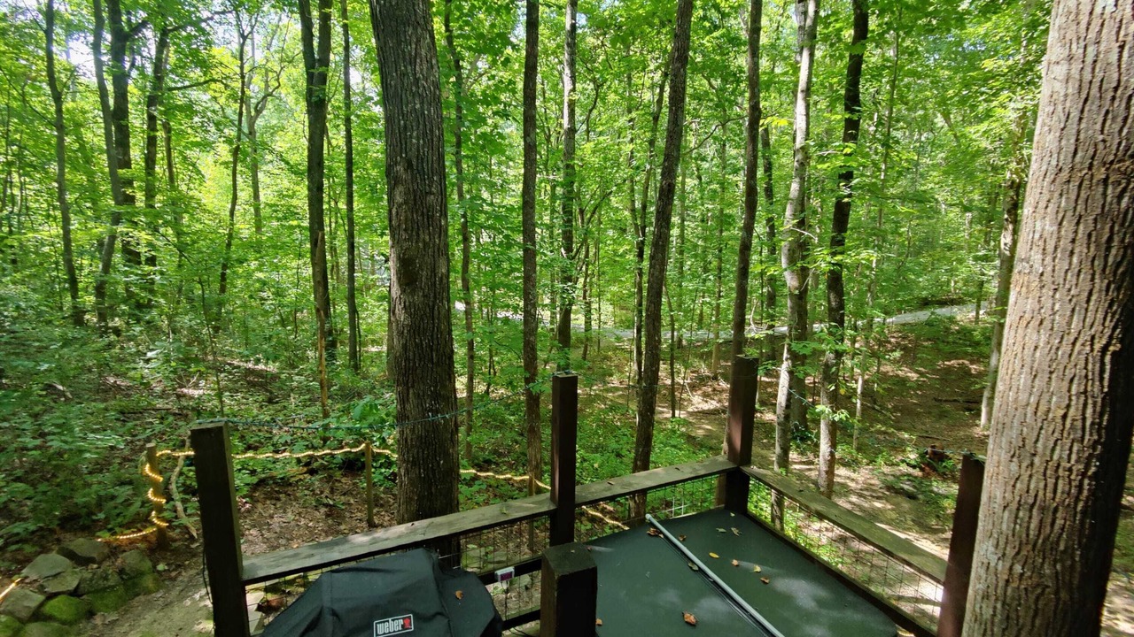 Photo of Others in Monteagle