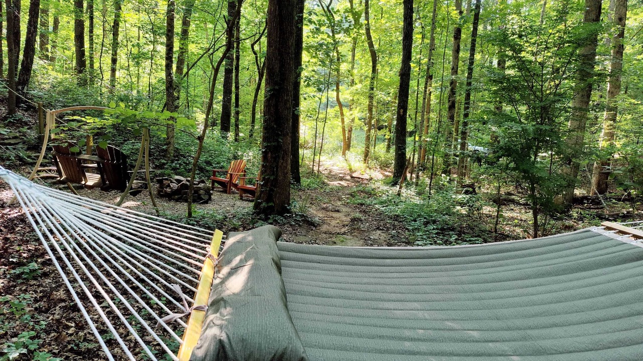 Photo of Others in Monteagle