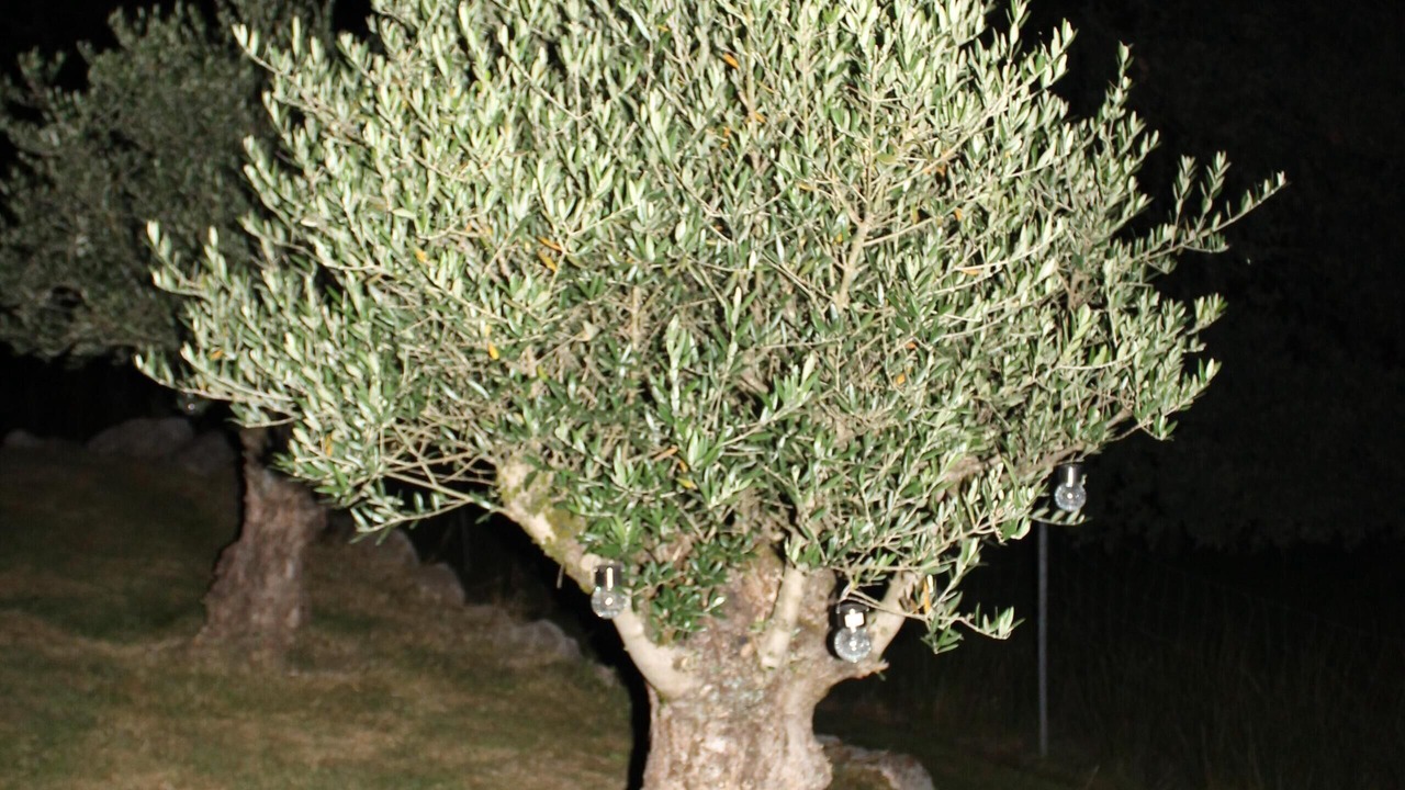 Photo of Outdoor in Saint-Germain-du-Bois