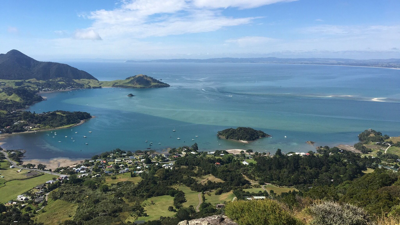 Photo of Others in One Tree Point