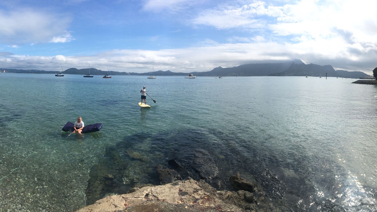 Photo of Others in One Tree Point