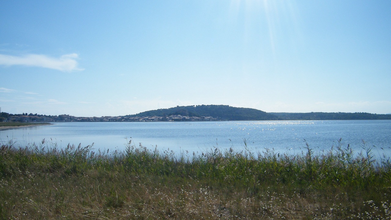 Photo of Others in Port Rive Gauche
