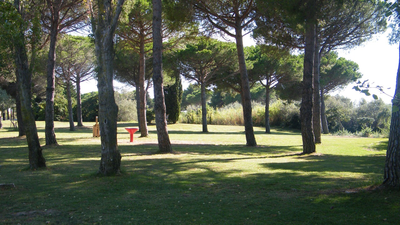 Photo of Outdoor in Port Rive Gauche