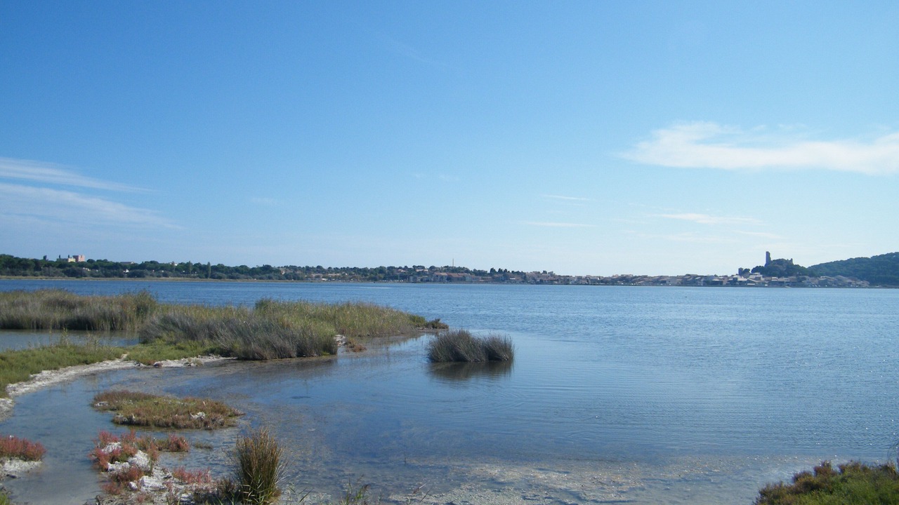 Photo of Others in Port Rive Gauche