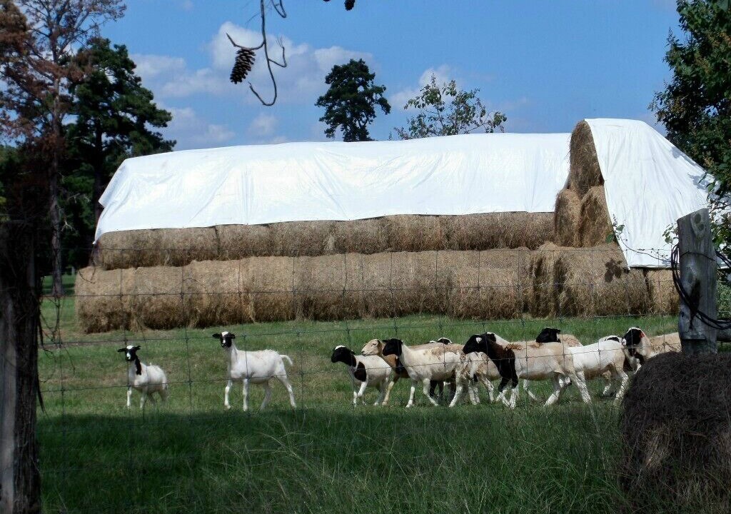 Photo of Others in Pennington