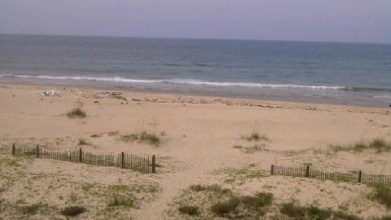 Photo of Others in St. George Island