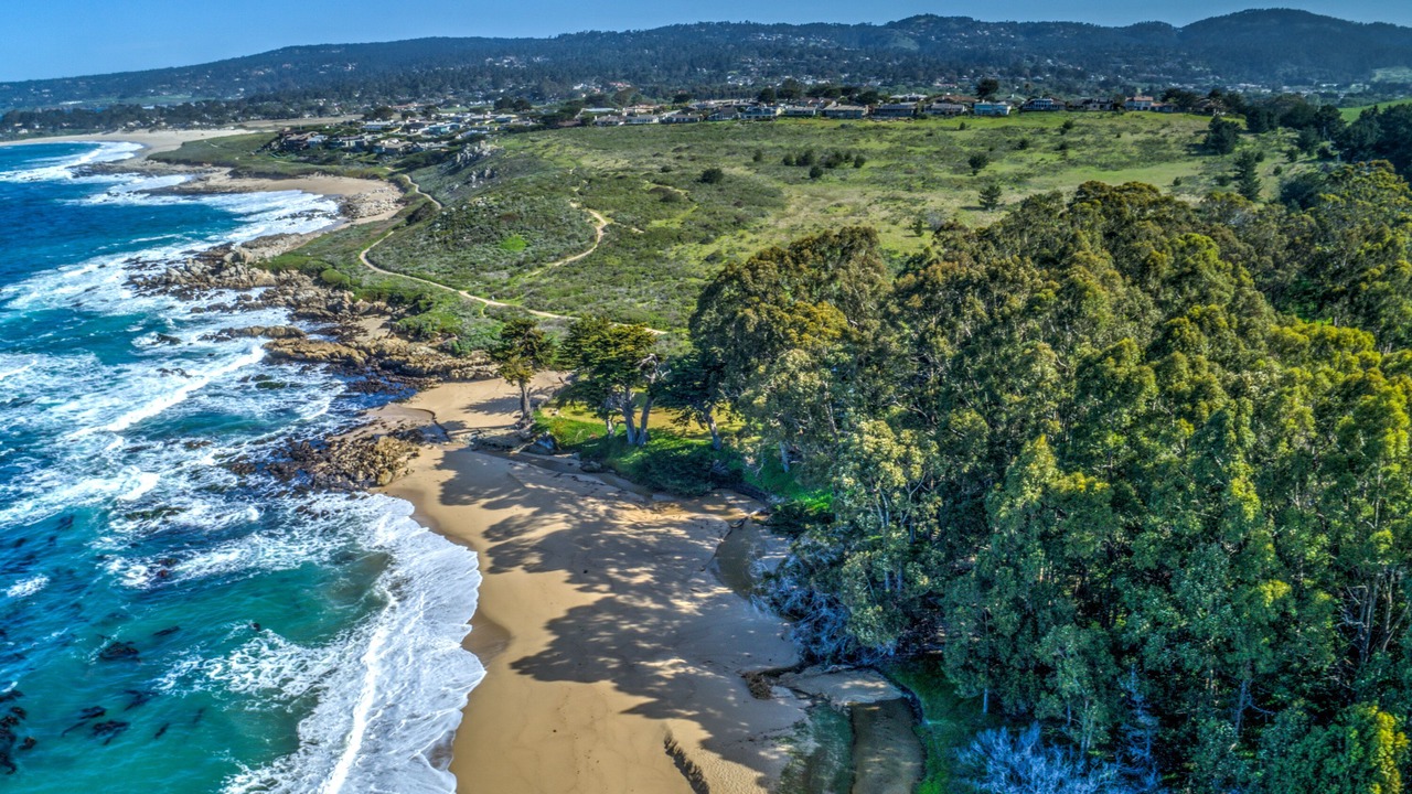 Photo of Others in Carmel