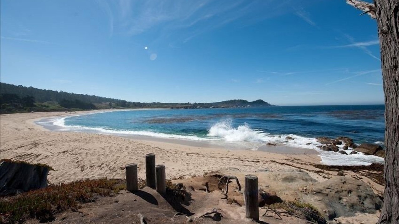 Photo of Others in Carmel