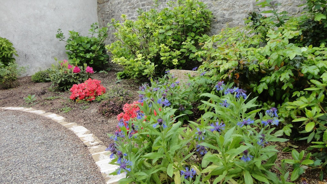 Photo of Outdoor in Langres