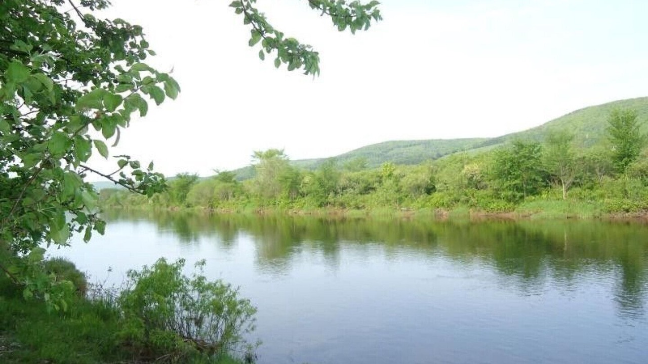 Photo of Outdoor in Margaree Forks