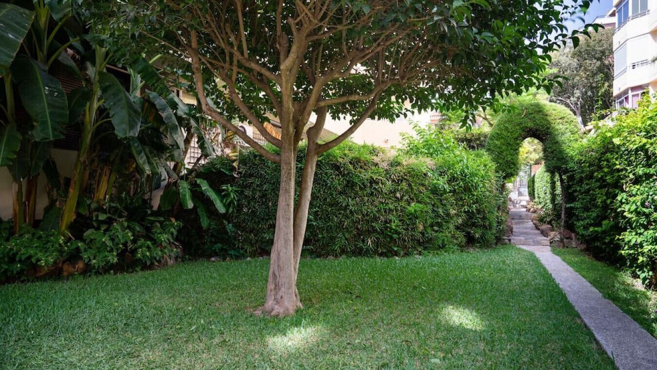 Photo of Outdoor in Marbella City Centre
