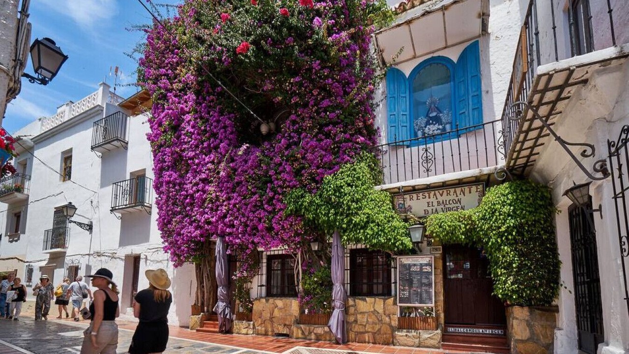 Photo of Others in Marbella City Centre